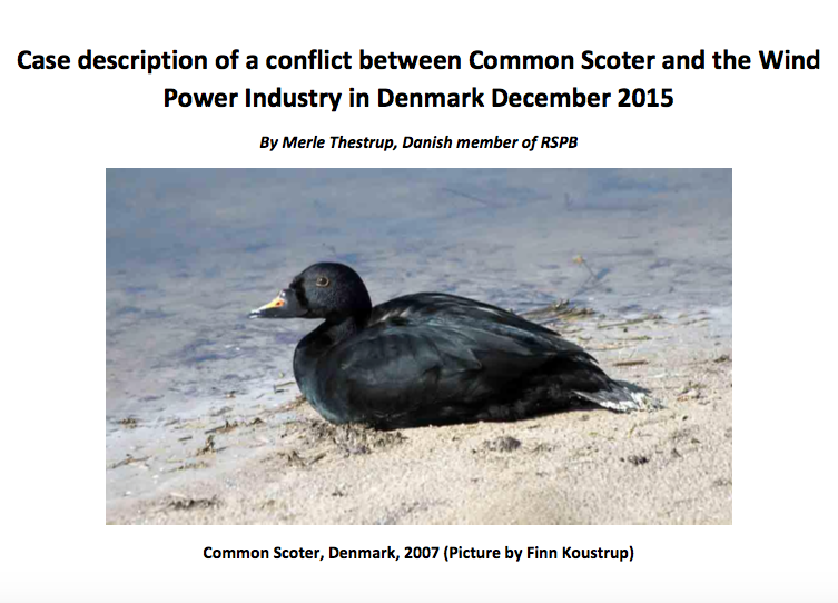 Marcreuse noire EDM 14 03 016