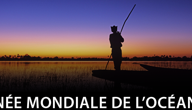 8 juin : Journée mondiale de l&rsquo;océan
