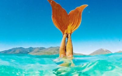 Portail Energies de la mer