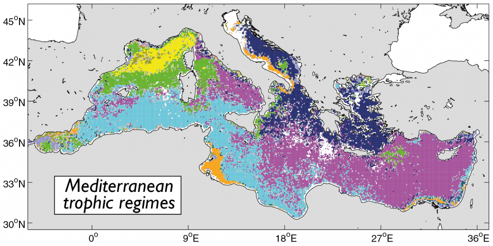 Phytoplancton en Méditerranée : Thèse de Nicolas MAYOT au LOV