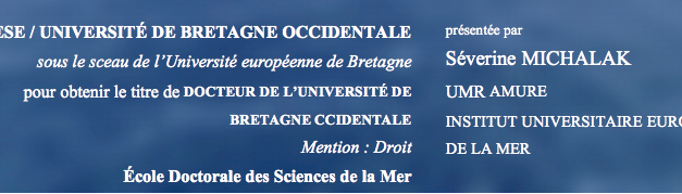 Thèse : Le rôle et l’omniprésence de l’Etat sont une spécificité du marché de la production d’électricité en mer