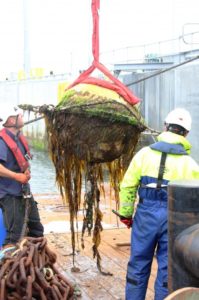 Biofouling of Wave Riderbouy Credit Andrew Want e1518786705135