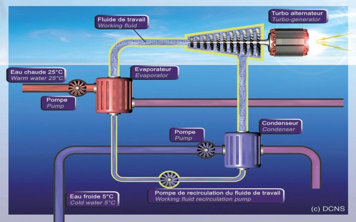 NEMO : Akuo Energy réplique à Naval Energies