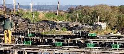 « Génération Océan » : Un programme pour « maritimer » la société française