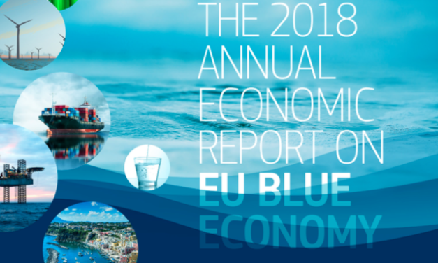Economie bleue : L’emploi dans l&rsquo;industrie éolienne offshore dépasse celle de la pêche