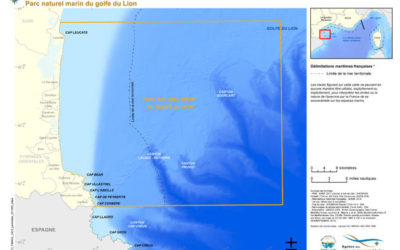 « Eoliennes flottantes du golfe du Lion » annonce ses prochaines étapes de développement