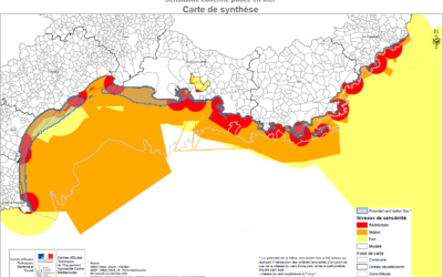 L’argumentaire en faveur d’un appel d’offre éolien flottant en Méditerranée