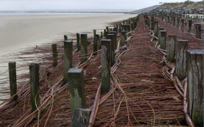Le CEREMA et le SHOM franchissent le pas pour une collaboration structurée et stratégique