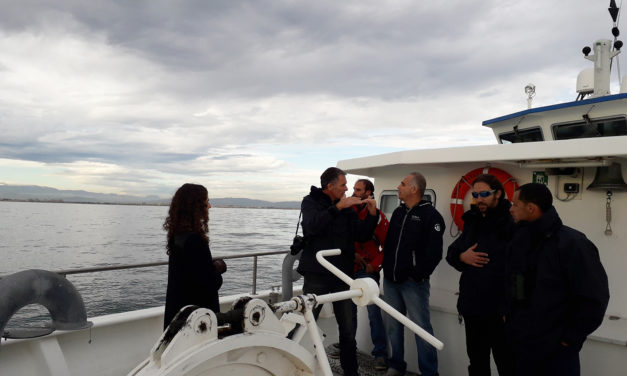 Le consortium Engie-EDPR-CDC saisie l’AE pour le projet du Golfe du Lion