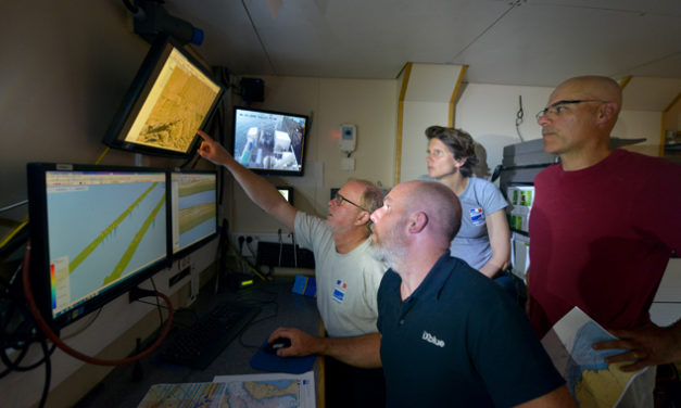 Le PLF2019 modifié pour mieux prendre en compte le développement des EMR