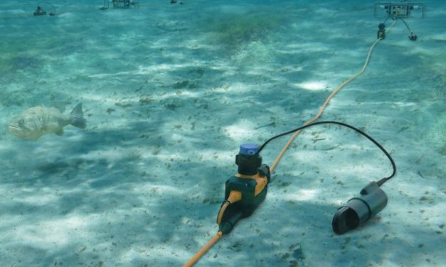 Partenariat stratégique entre la CGG et Apave