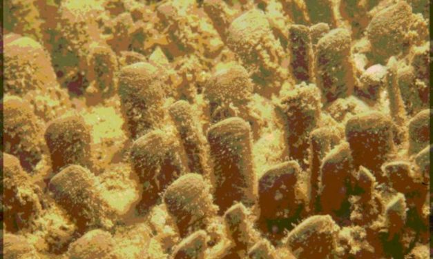 Journée d&rsquo;études : Interactions des EMR avec l’environnement marin en Pays de la Loire