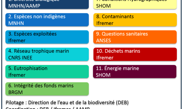 La France rappelée à l’ordre par la commission européenne pour l’état écologique des eaux marines