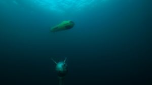 Naval Group et ECA-Robotics : 12 navires de déminage pour la Belgique et les Pays-Bas