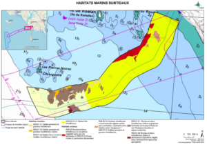 Shell sort du projet Eolfi Groix-Belle-Ile, sans remettre en question ses candidatures pour les appels d’offres A04 et A05