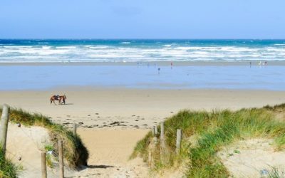 Développement durable : Eolfi et le Syndicat Mixte Grand Site Gâvres-Quiberon signent une convention maîtresse