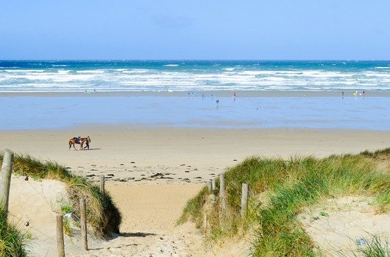 Développement durable : Eolfi et le Syndicat Mixte Grand Site Gâvres-Quiberon signent une convention maîtresse