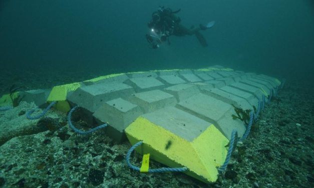 Nouvelles mesures sur l’impact des câbles sous-marins