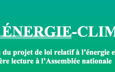 Projet de loi énergie climat 3 : « La PPE passera de 750 MW à 1 GW / an pour l’éolien en mer  :