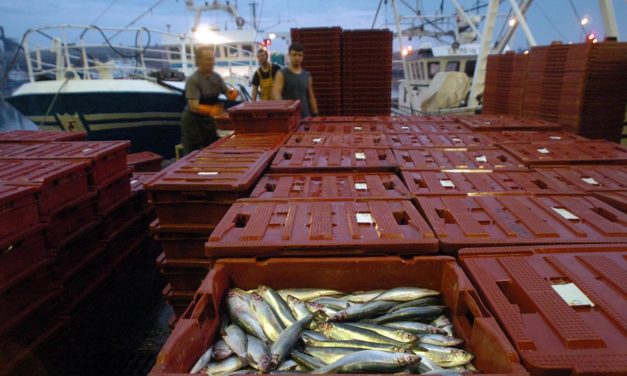 Covid 19 : L’économie de la mer va s’adapter ! – Partie 2 – Pêche