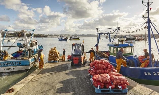 Coquilles Saint-Jacques, pêcheurs et parc éolien en mer de Saint-Brieuc