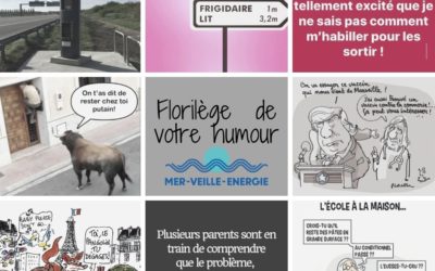 Covid 19 : Festival – Partie 11