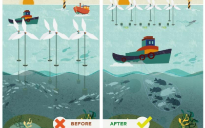 Explore multi-use of marine space