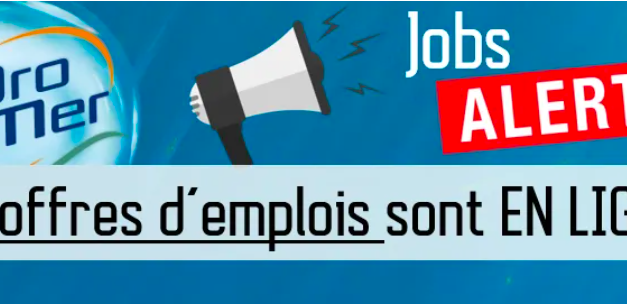 BPN met en ligne les 1200 offres d’emplois prévus pour le salon Pro&Mer