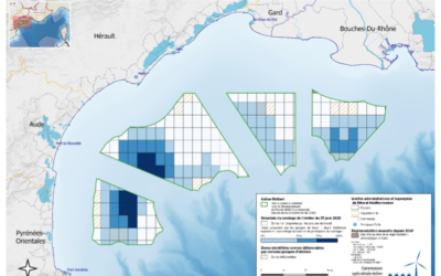 Conseil maritime de façade : L’éolien flottant en Méditerranée