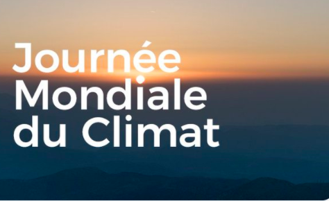 Journée mondiale du climat : Un objectif, deux webinaires et un livre