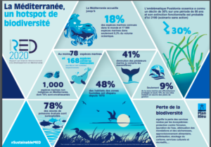 Biodiversité Méditerranée RED 2020-Plan_Bleu-PNUE