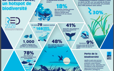 La Méditerranée : comment atteindre un bon état écologique ? Les énergies renouvelables en mer pourront-elles y participer ?