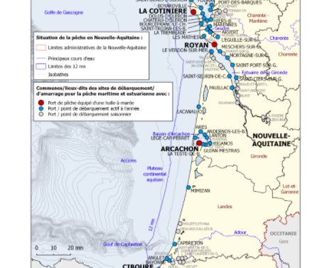 Le CRPMEM Nouvelle-Aquitaine propose un poste passionnant en CDD
