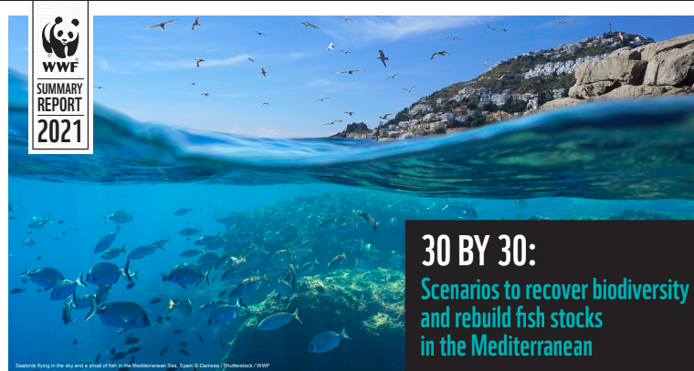 Le rapport de WWF sur la protection de la mer Méditerranée vient de paraître