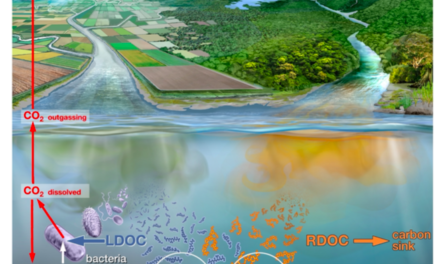Révolution pour analyser le niveau de pollution par les eaux usées