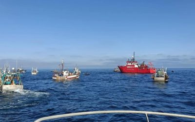 Dialogue Zéro : Jusqu’où ira la pêche aux arguments scientifiques ?