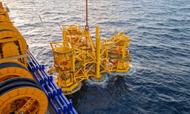 Parc de Saint-Brieuc : Aolus a quitté Saint-Brieuc et le CEDRE sollicité