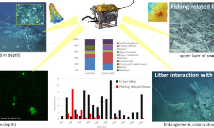 Premières mesures de plastiques dans les grands fonds en Méditerranée