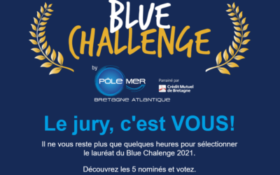 5 projets pour le Blue Challenge : dernier jour pour voter