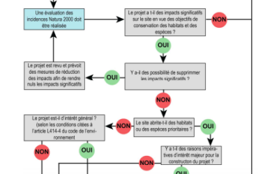 L’environnement et la notion de raison impérative d’intérêt public majeur (RIIPM)