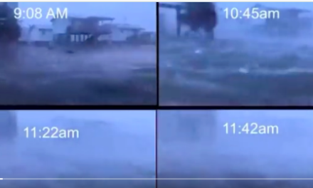 DNV publie une recommandation pour prévenir les risques sismiques des parcs éoliens