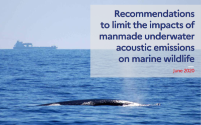 Recommendations to limit the impacts of manmade underwater acoustic emissions on marine wildlife