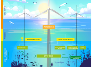 J-2 pour la conférence « ENVIRONNEMENT » de la concertation préalable