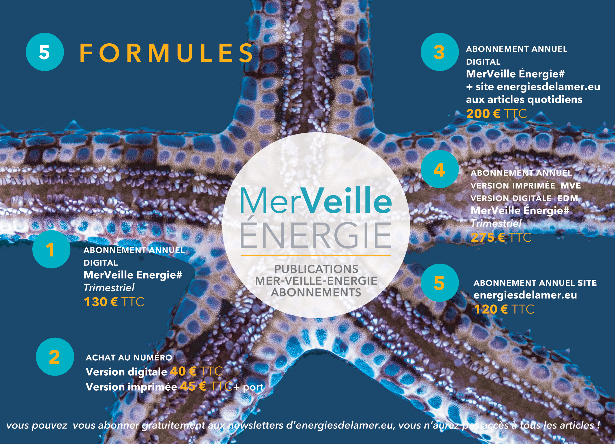 Abonnements à energiesdelamer.eu : Pour un accès complet aux articles