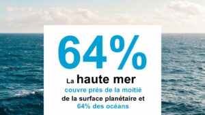 Le traité international pour protéger la haute mer franchit la barre des 60 signatures