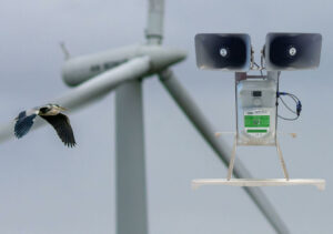 L’AMI du consortium « Armorique Energie Marine » mise sur l’avenir