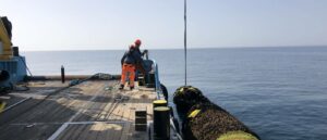 Méditerranée EFGL : La bouée d&rsquo;Ecocean a été retirée