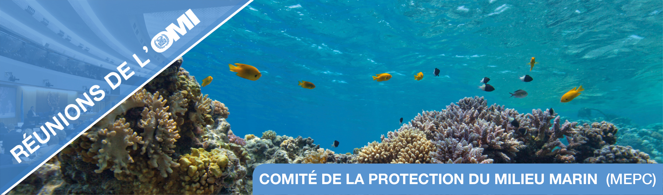 L&rsquo;OMI rate le cap du scénario  1,5 ° C conformément aux Accords de Paris