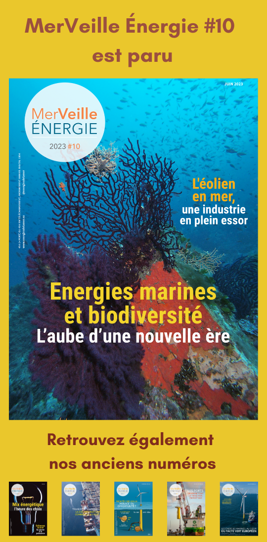 La troisième mouture de la Stratégie nationale biodiversité (SNB3) ou biodiversité 2030 a été dévoilée.