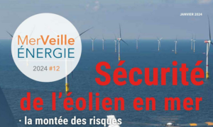 Mikaa Blugeon-Mered (MEDEF International) : « L&rsquo;hydrogène vert au secours des EMR et des ports »